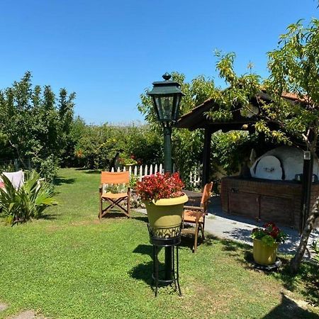 Seaside Cottage Paralia Katerinis Ngoại thất bức ảnh
