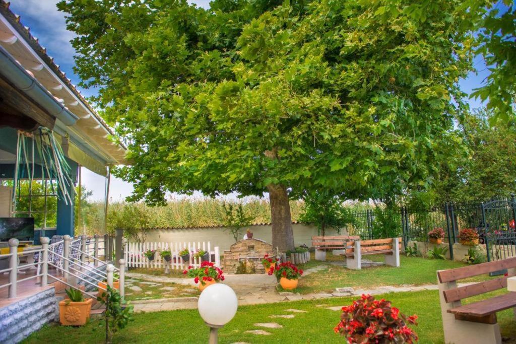 Seaside Cottage Paralia Katerinis Ngoại thất bức ảnh